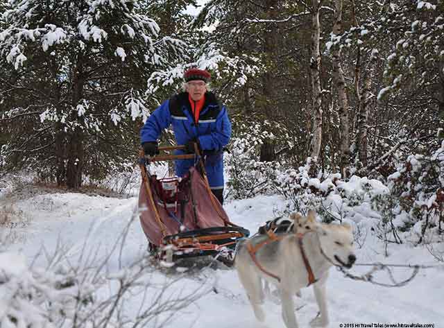 Can You Dog Sled In Trondheim Can You Dog Sled In Trondheim
