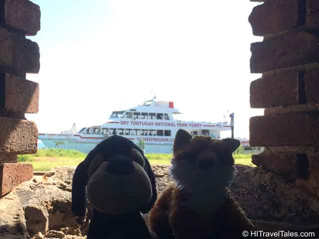 Fort Jefferson Yankee Freedom II with Maurice and Fox Fury