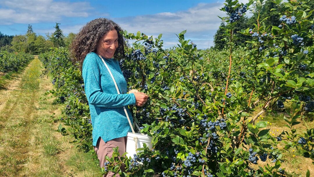 Mutiny Bay Blues Therese Picking