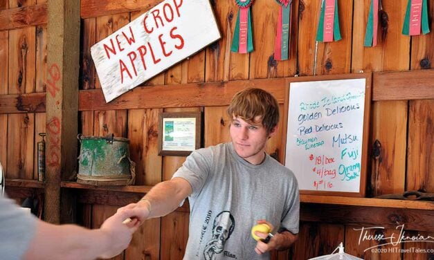 Apple Hill: Yummy visit in Northern California Gold Country